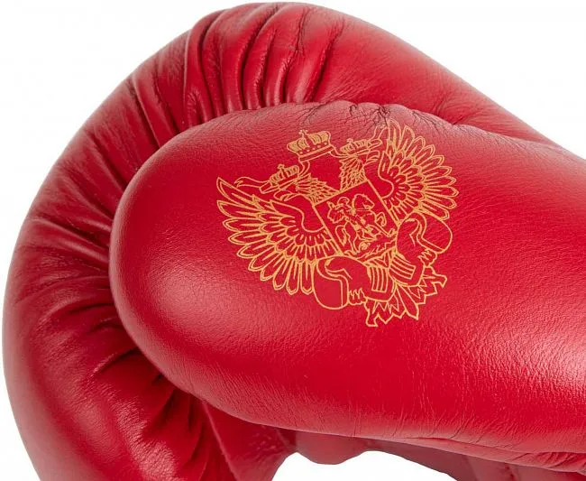 C175L Перчатки боксерские Clinch Olimp Premium Александр Лебзяк красные