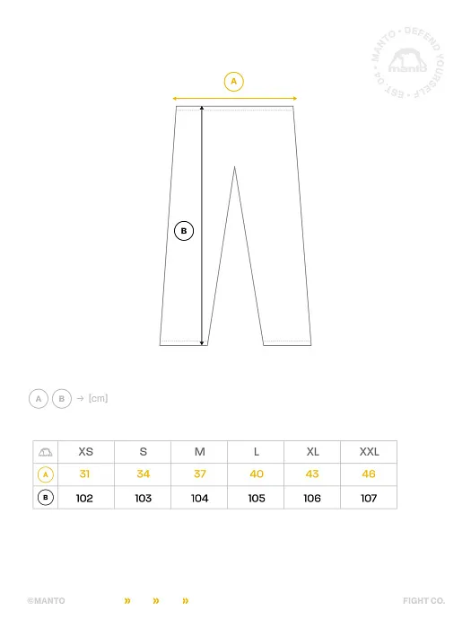 Спортивные штаны Manto FIGHT COMPANY gray