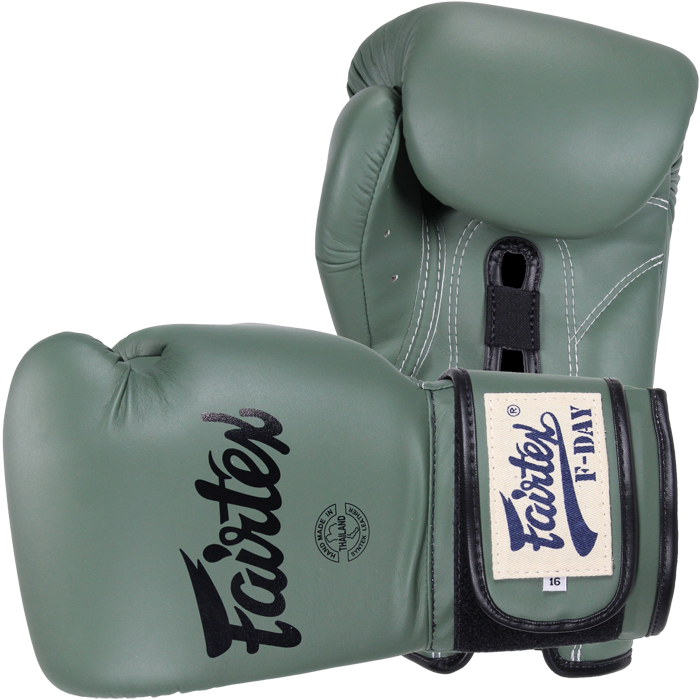Боксерские перчатки Fairtex F-Day (12 oz)