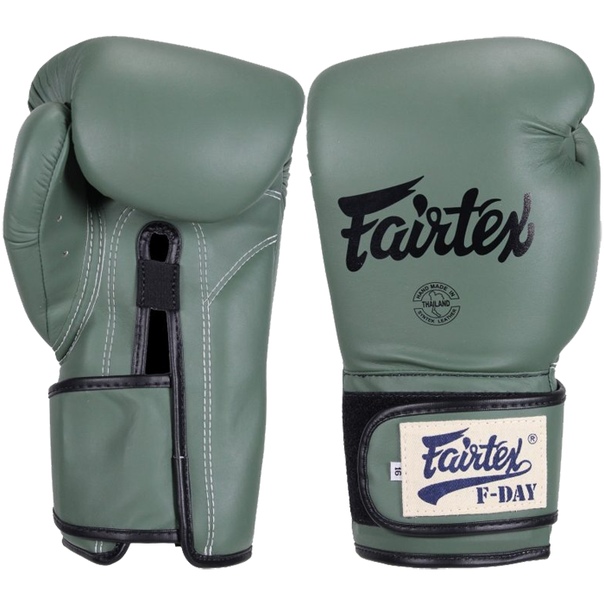 Боксерские перчатки Fairtex F-Day (16 oz)