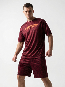Тренировочный костюм Rage Training (футболка+шорты) RED