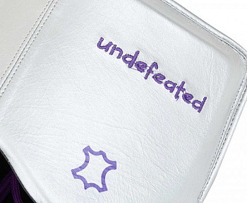 C165RT Защита паха мужская Clinch Undefeated серебристая