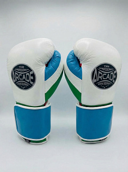 Спаринговочные перчатки Arcade White Blue Green