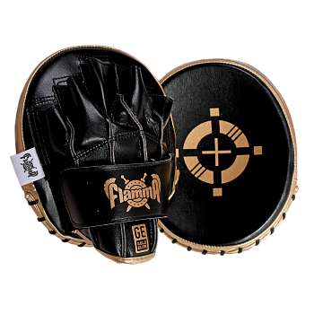 Тренерские профессиональные тактические лапы FLAMMA Gold Elite (инженерная кожа, Черный,19*17*3см)