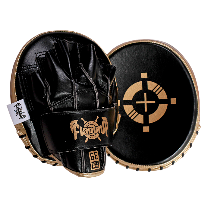 Тренерские профессиональные тактические лапы FLAMMA Gold Elite (инженерная кожа, Черный,19*17*3см)