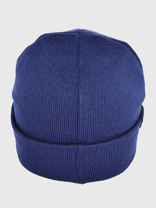 Шапка Bad Boy Logo 3D синий