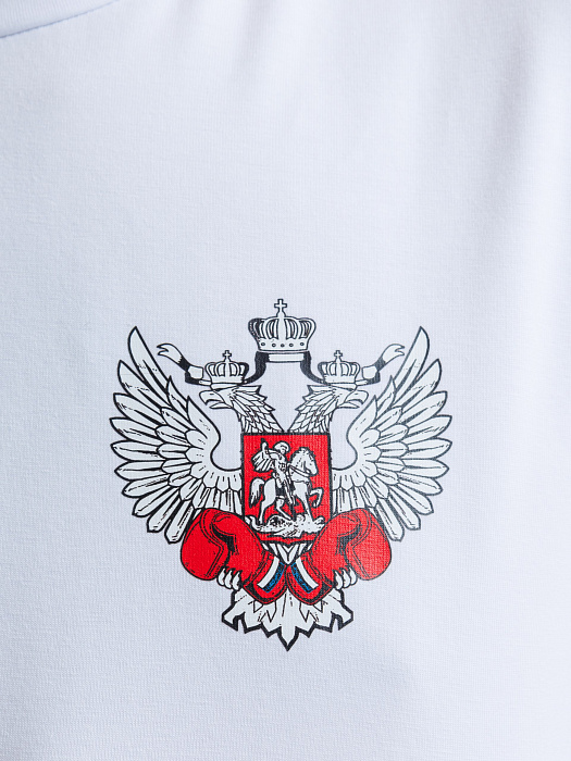 Комплект Футболка+Шорты ФБ России (бел., син.)