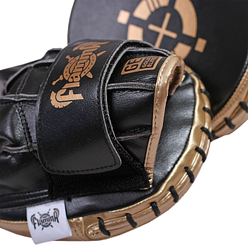 Тренерские профессиональные тактические лапы FLAMMA Gold Elite (инженерная кожа, Черный,19*17*3см)