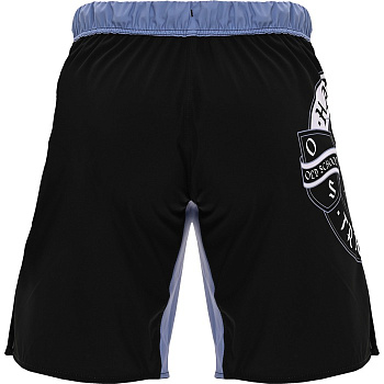 Шорты Hardcore Training Knight