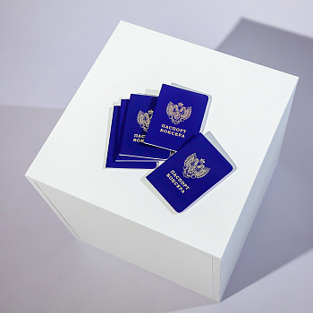 Паспорт боксера 