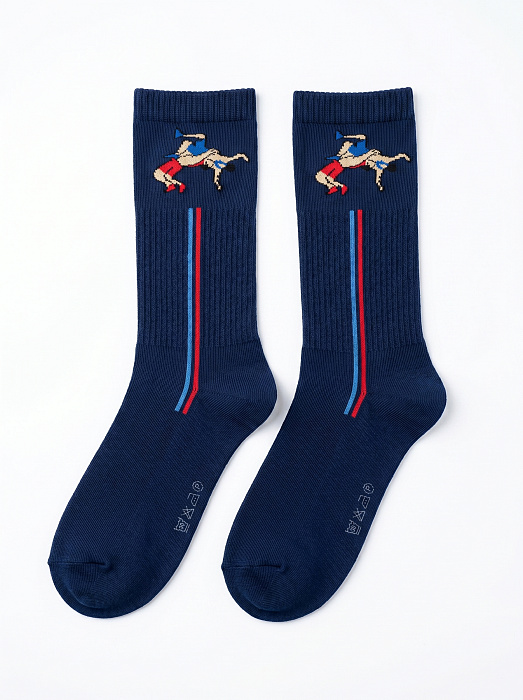 ISS0201 IMERA WRESTLING5 носки муж. синий