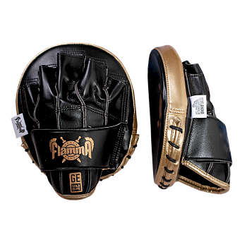 Тренерские профессиональные тактические лапы FLAMMA Gold Elite (инженерная кожа, Черный,19*17*3см)