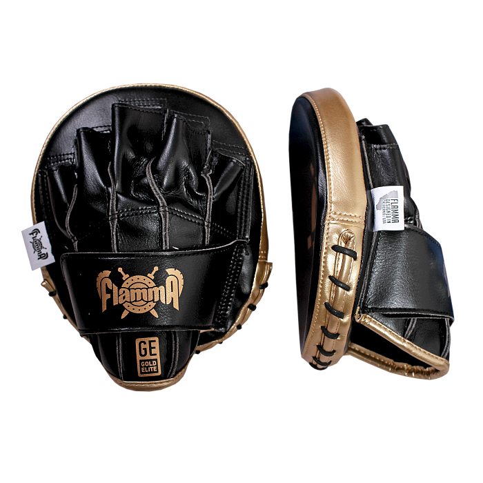 Тренерские профессиональные тактические лапы FLAMMA Gold Elite (инженерная кожа, Черный,19*17*3см)