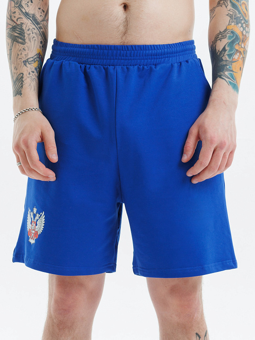 Комплект Футболка+Шорты ФБ России (бел., син.)