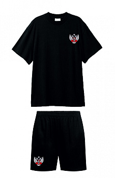 Комплект Футболка+Шорты ФБ