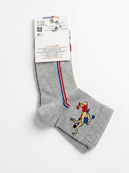 ISS0201 IMERA WRESTLING5 носки муж. серый