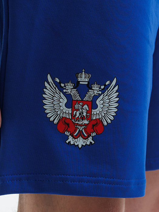 Комплект Футболка+Шорты ФБ России (бел., син.)